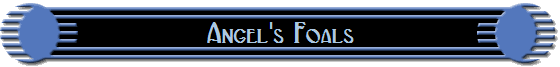 Angel's Foals