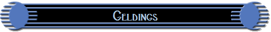 Geldings