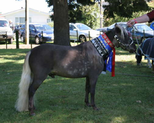 Yulie with HOY Ribbons